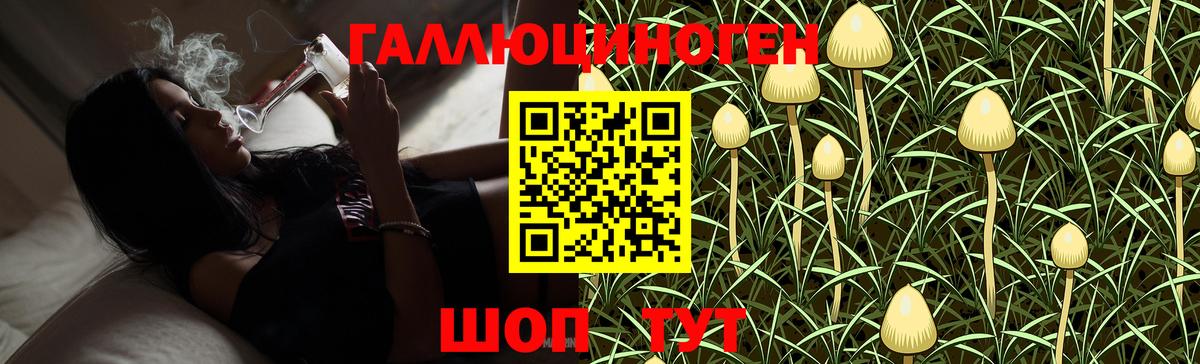 Ишимбай  Галлюциногенные грибы Psilocybine cubensis  Галлюциногенные грибы ЛСД  Вход с VPN 